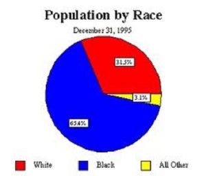 North Carolina Population by Race
